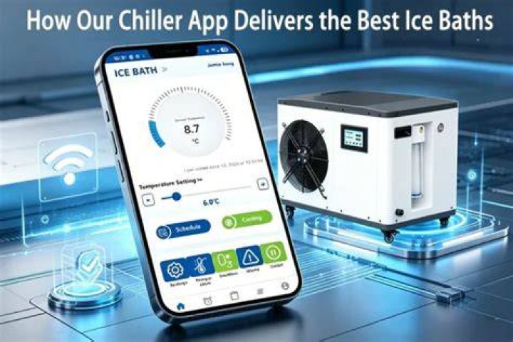 What app delivers ice