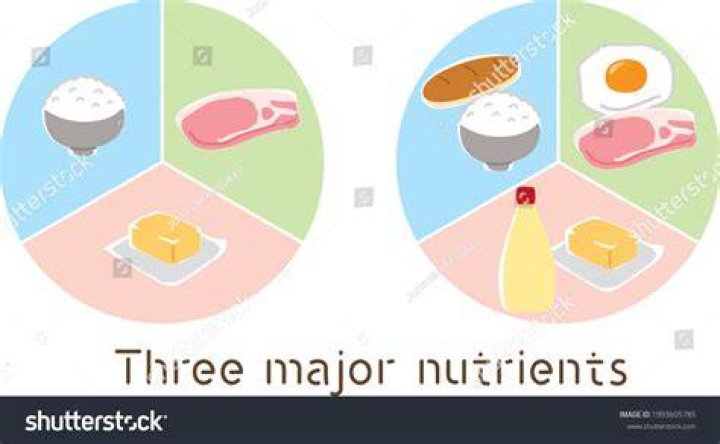 What are 3 nutrients