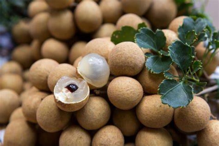 What are Asian fruits