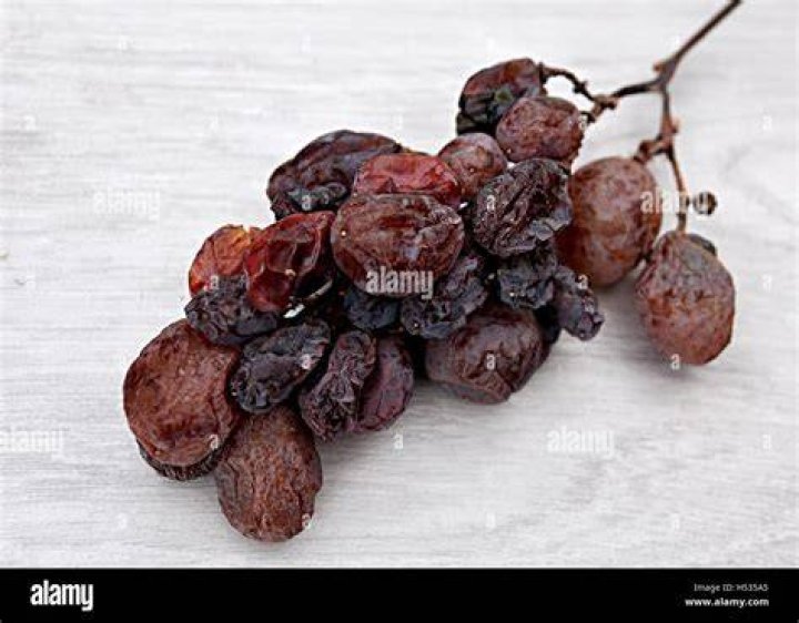 What are dried grapes