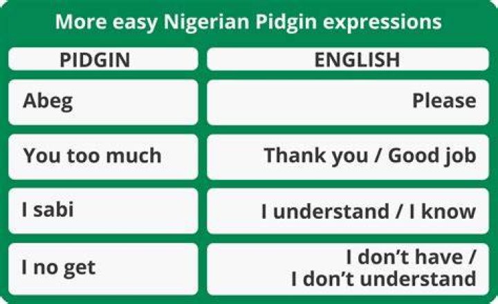 What are pidgin words