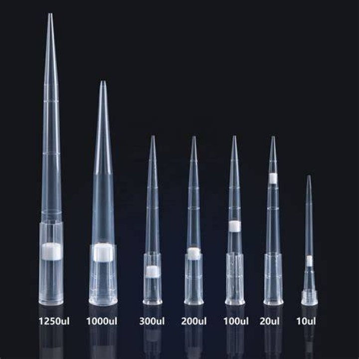 What are pipette tips