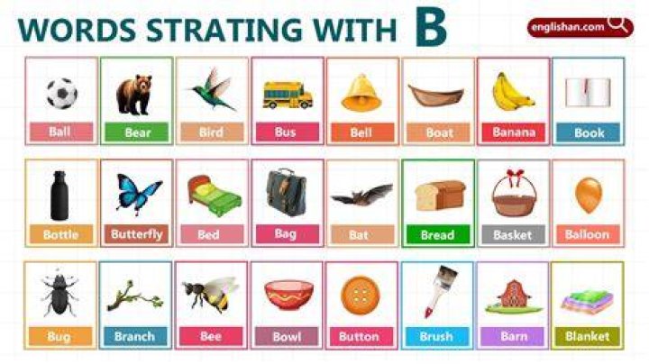 What are some B words