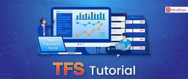 What are TFS features