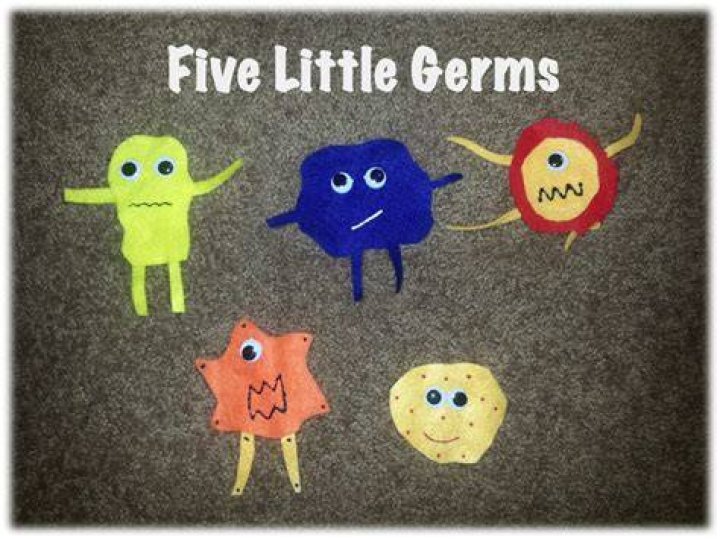 What are the 5 germs