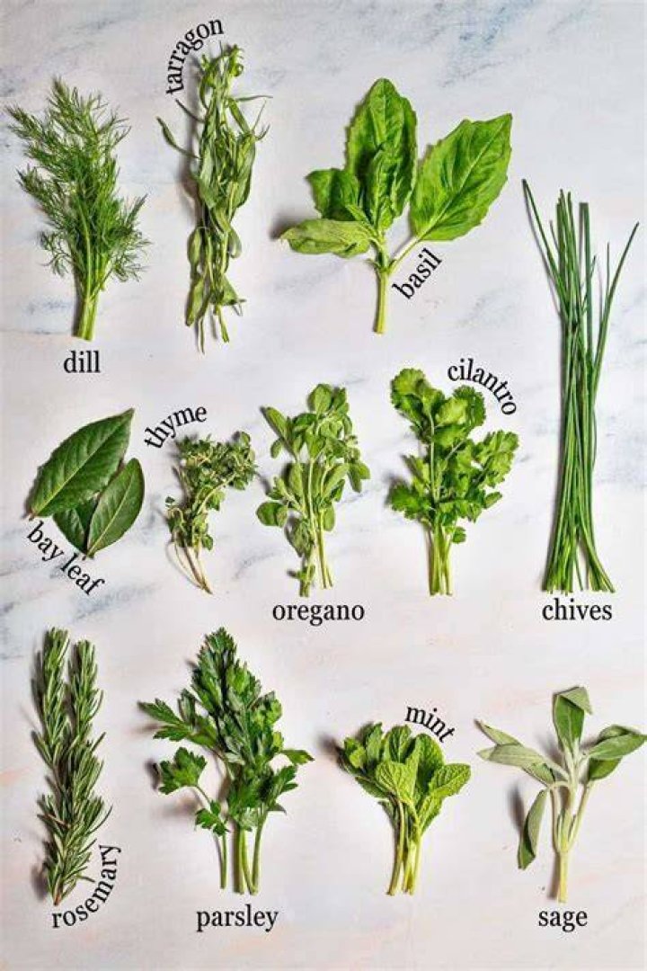What are the 5 herbs