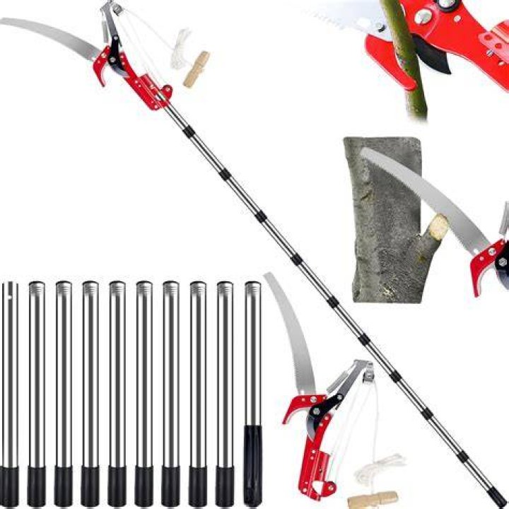 What are tree loppers