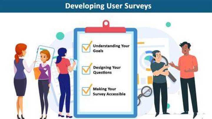 What are user surveys