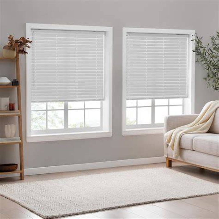What are vinyl blinds