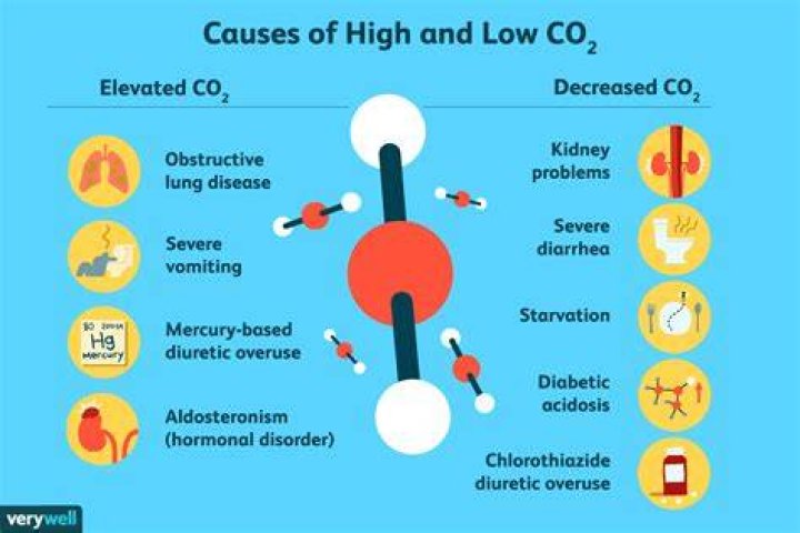 What causes high pCO2