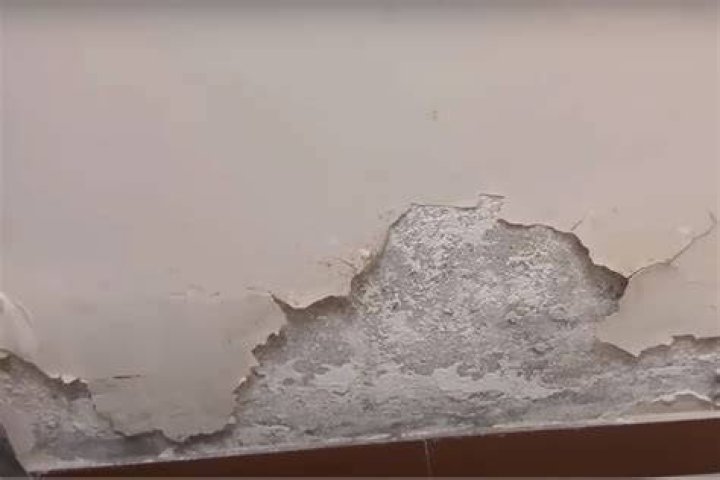 What causes salt damp