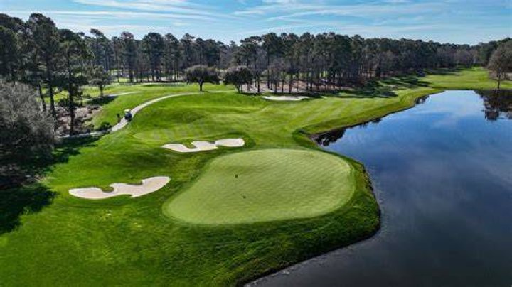 What courses are TPC