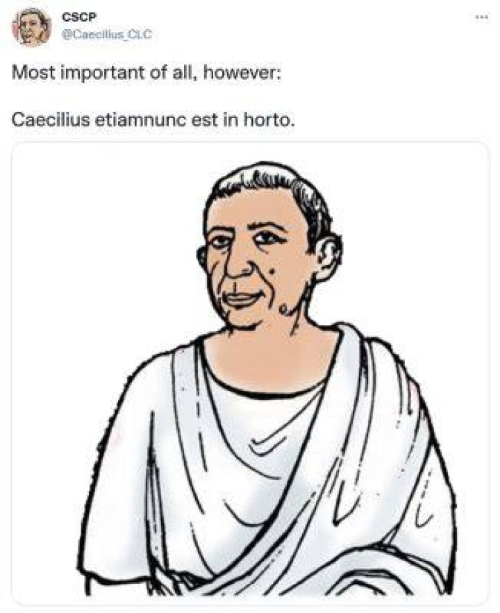 What did caecilius do