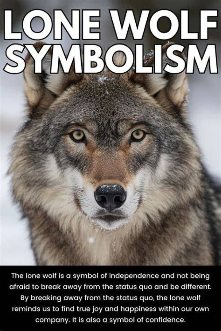 What did lone wolf do