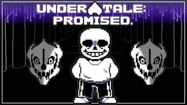 What did sans promise