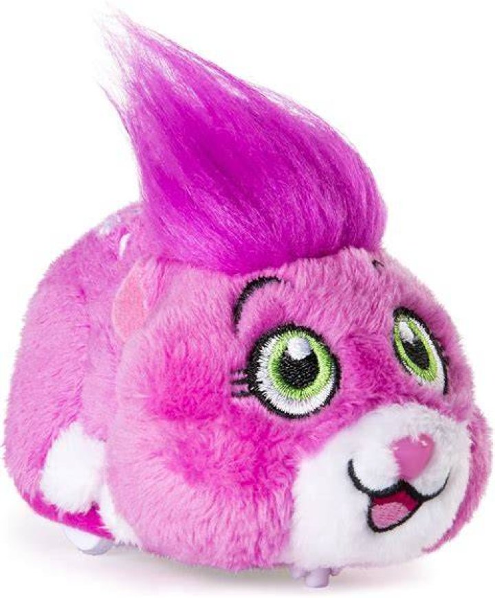 What do Zuzu pets do