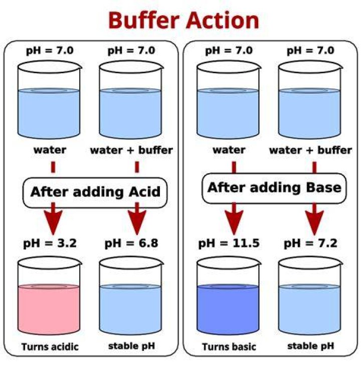 What does a buffer do