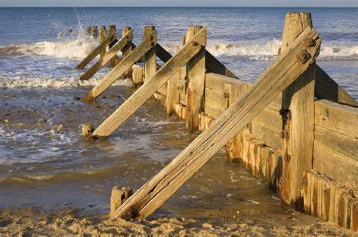 What does a groyne do