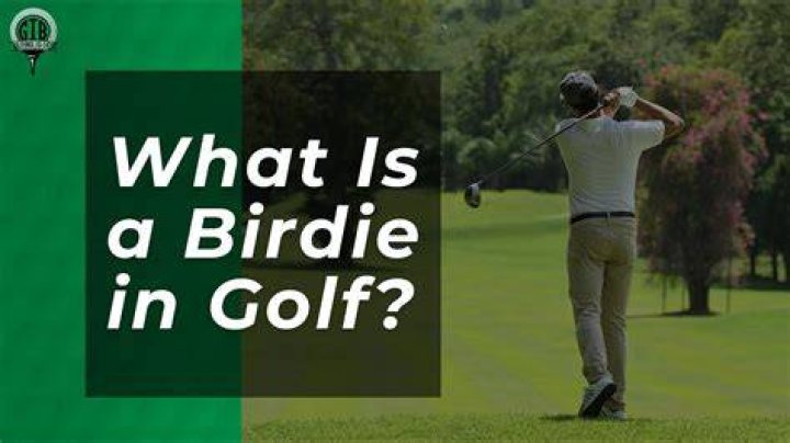 What does birdie mean