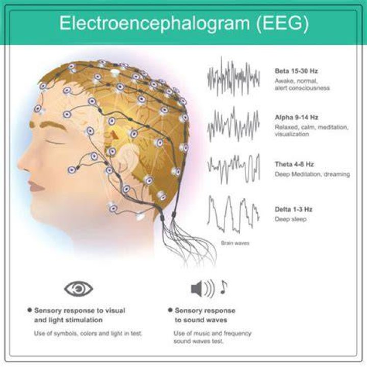 What does EEG measure