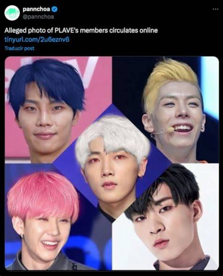 What does Plave mean