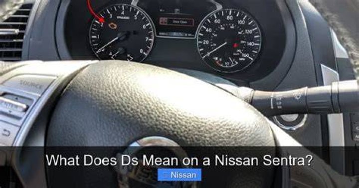 What does Sentra mean