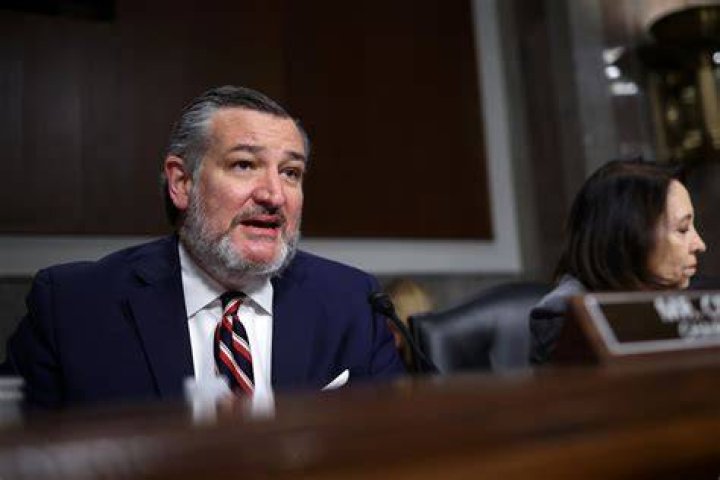What does Ted Cruz do