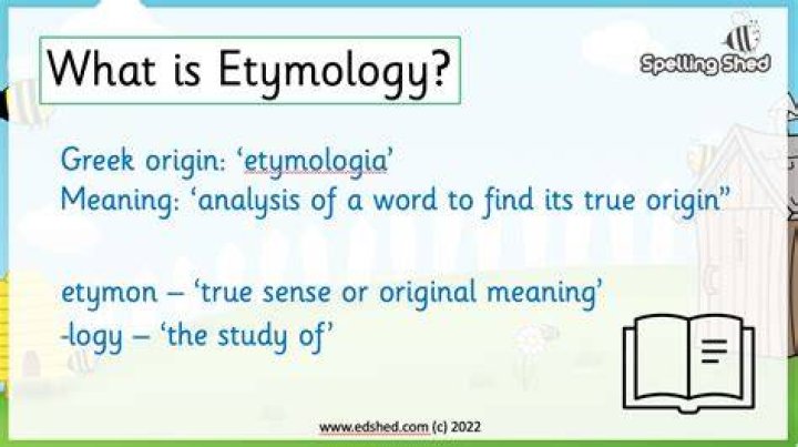 What etymology means