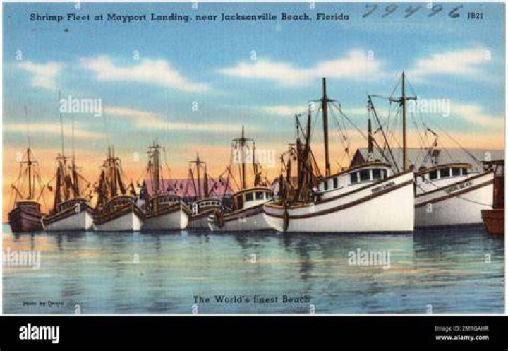 What Fleet is Mayport