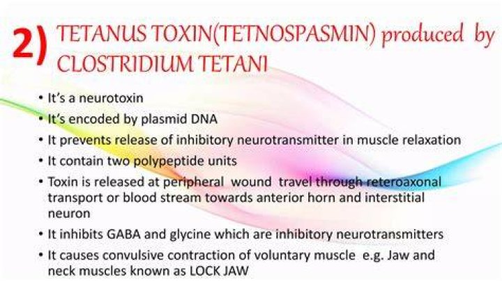 What inhibits tetanus