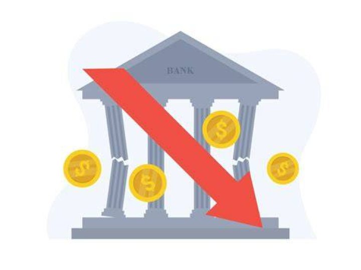 What is a bank crisis