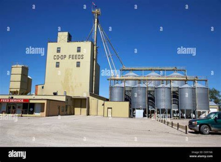 What is a feed co-op