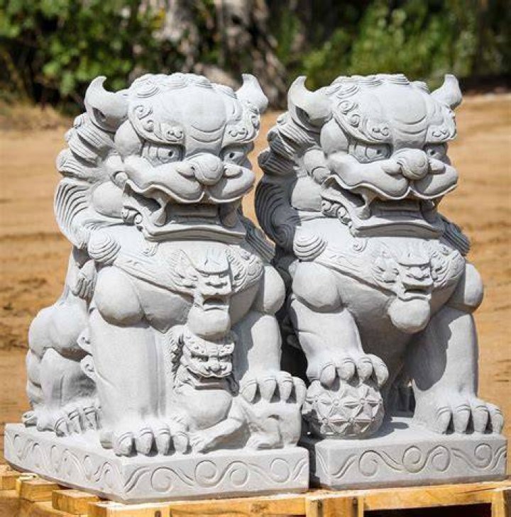 What is a foo foo dog