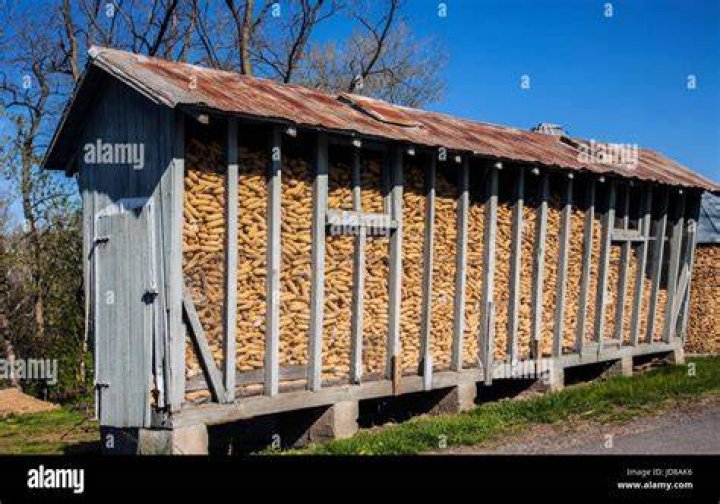 What is a grain crib