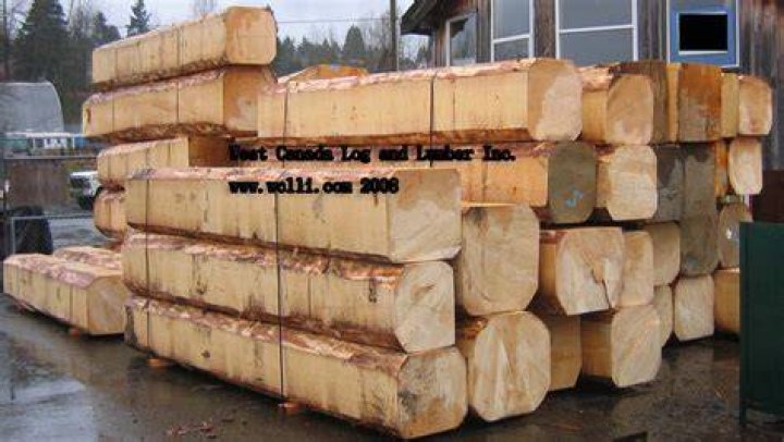 What is a lumber cant