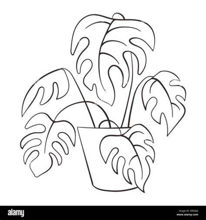 What is a plant line