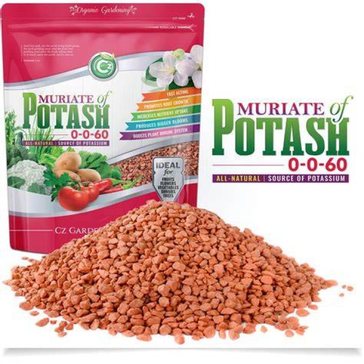 What is a potash feed
