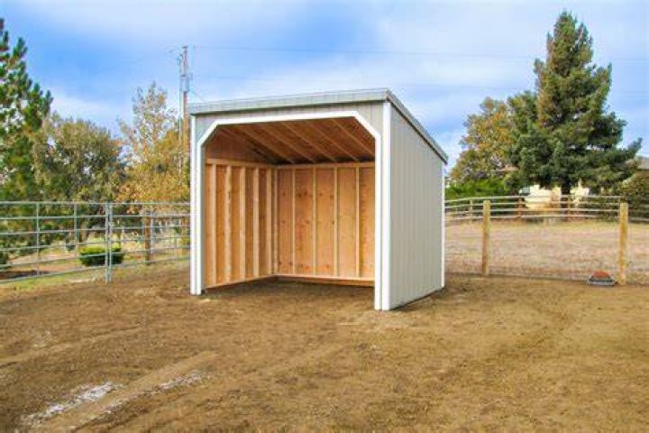 What is a run in shed