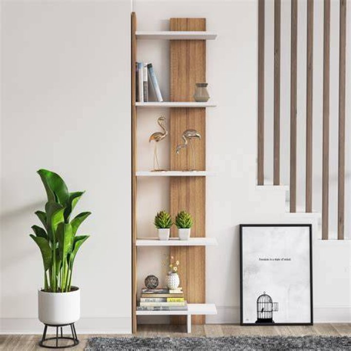 What is a shelf unit