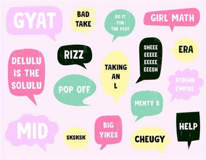 What is a Skeez slang