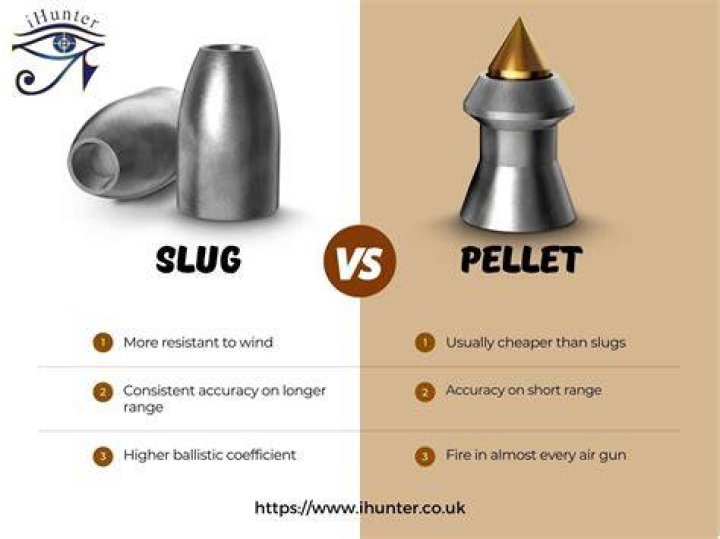 What is a slug bullet