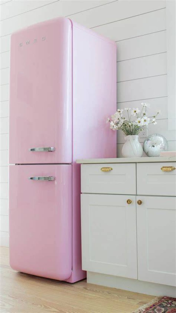 What is a SMEG fridge