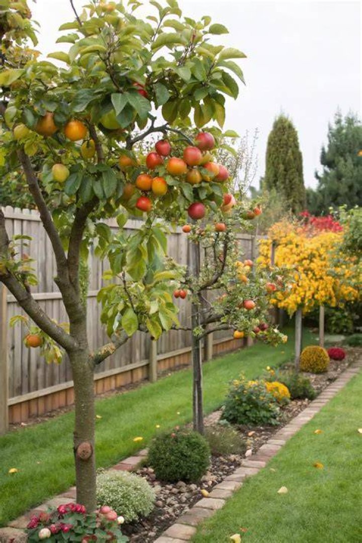 What is a tree garden