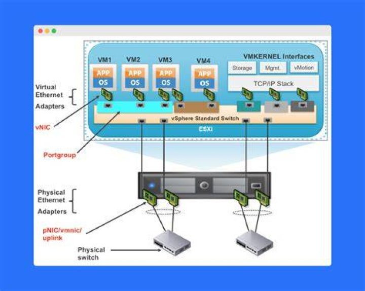 What is a vNic VMware