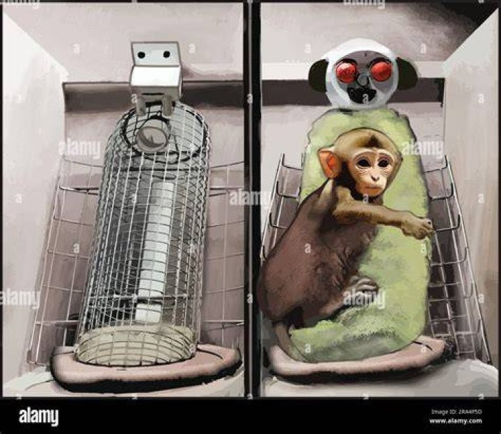 What is a wire monkey