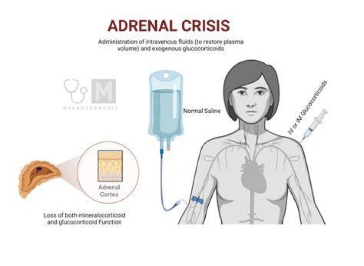What is adrenal shock