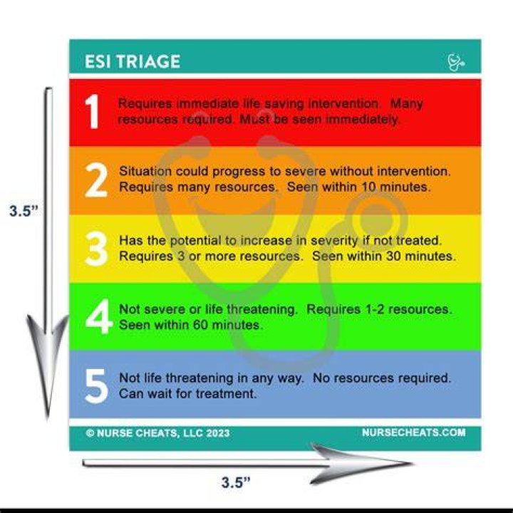 What is an ESI level