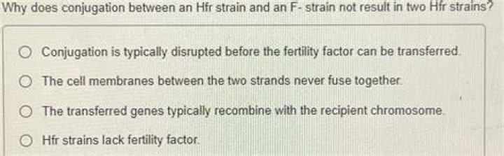 What is an HFR strain