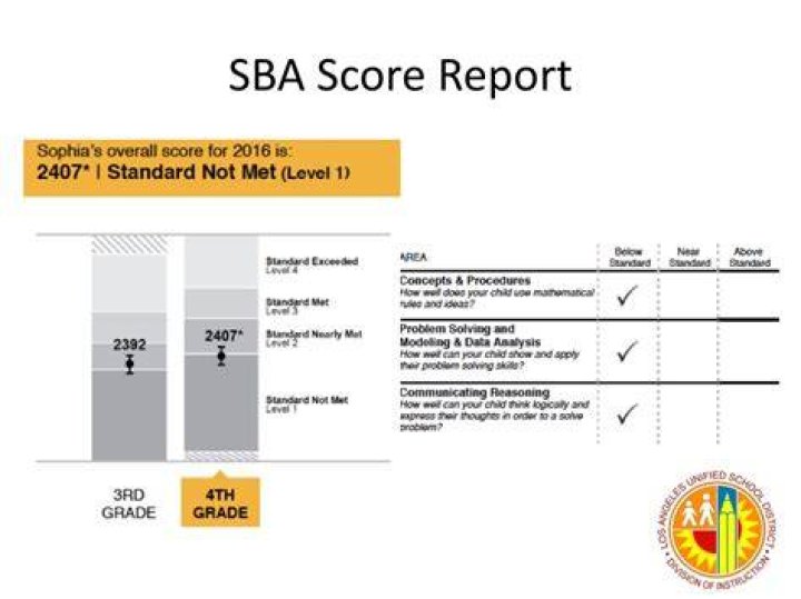 What is an SBA SCORE