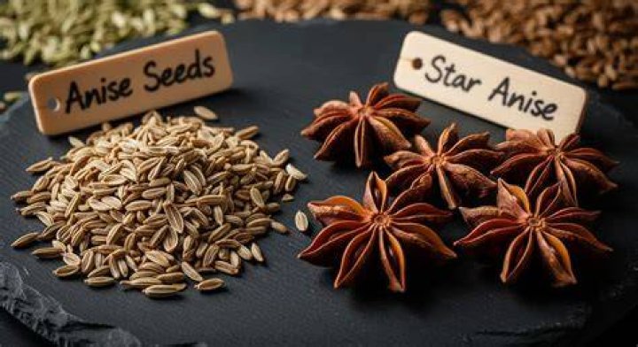 What is anise used in